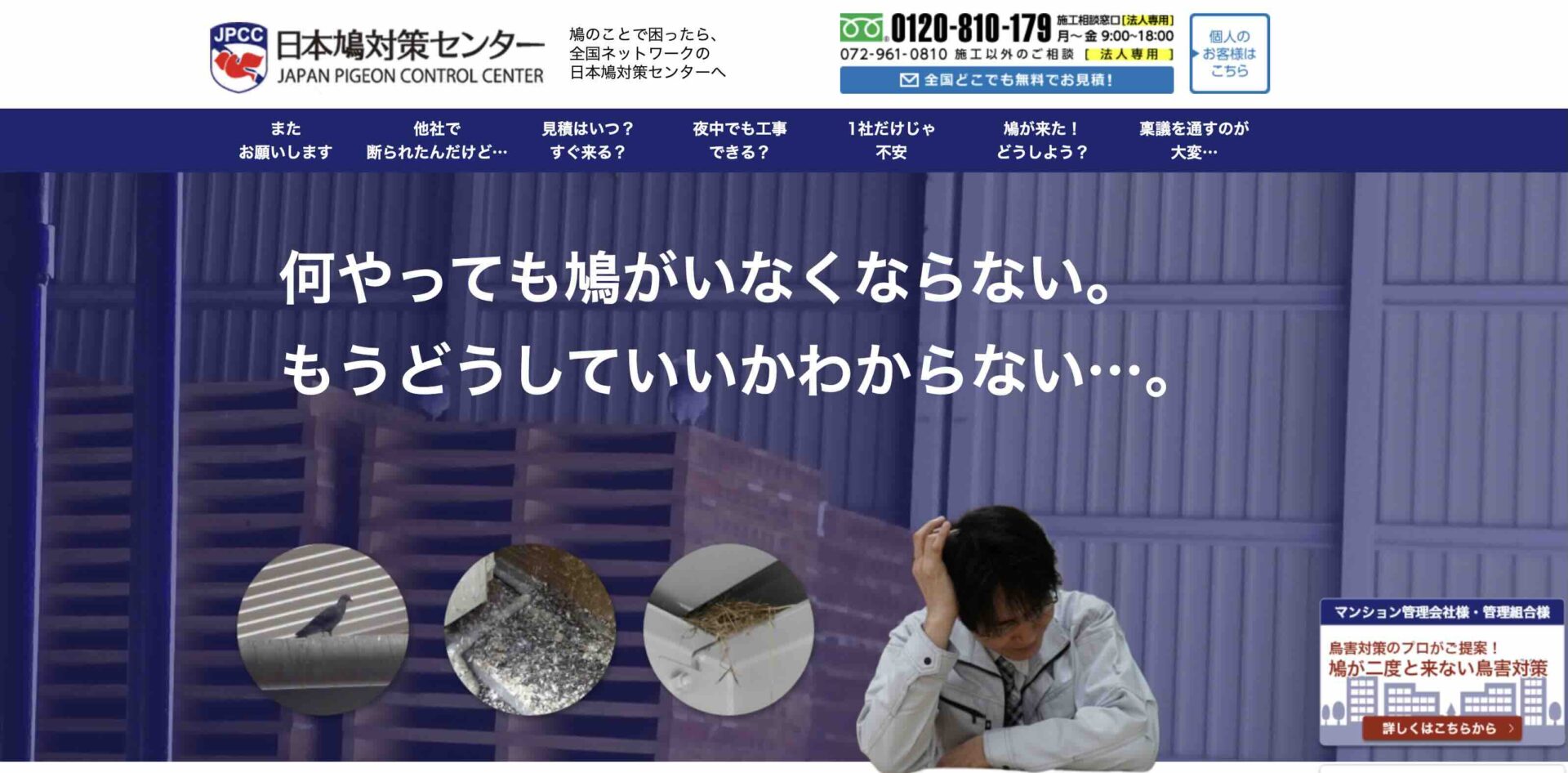 日本鳩対策センター株式会社の画像