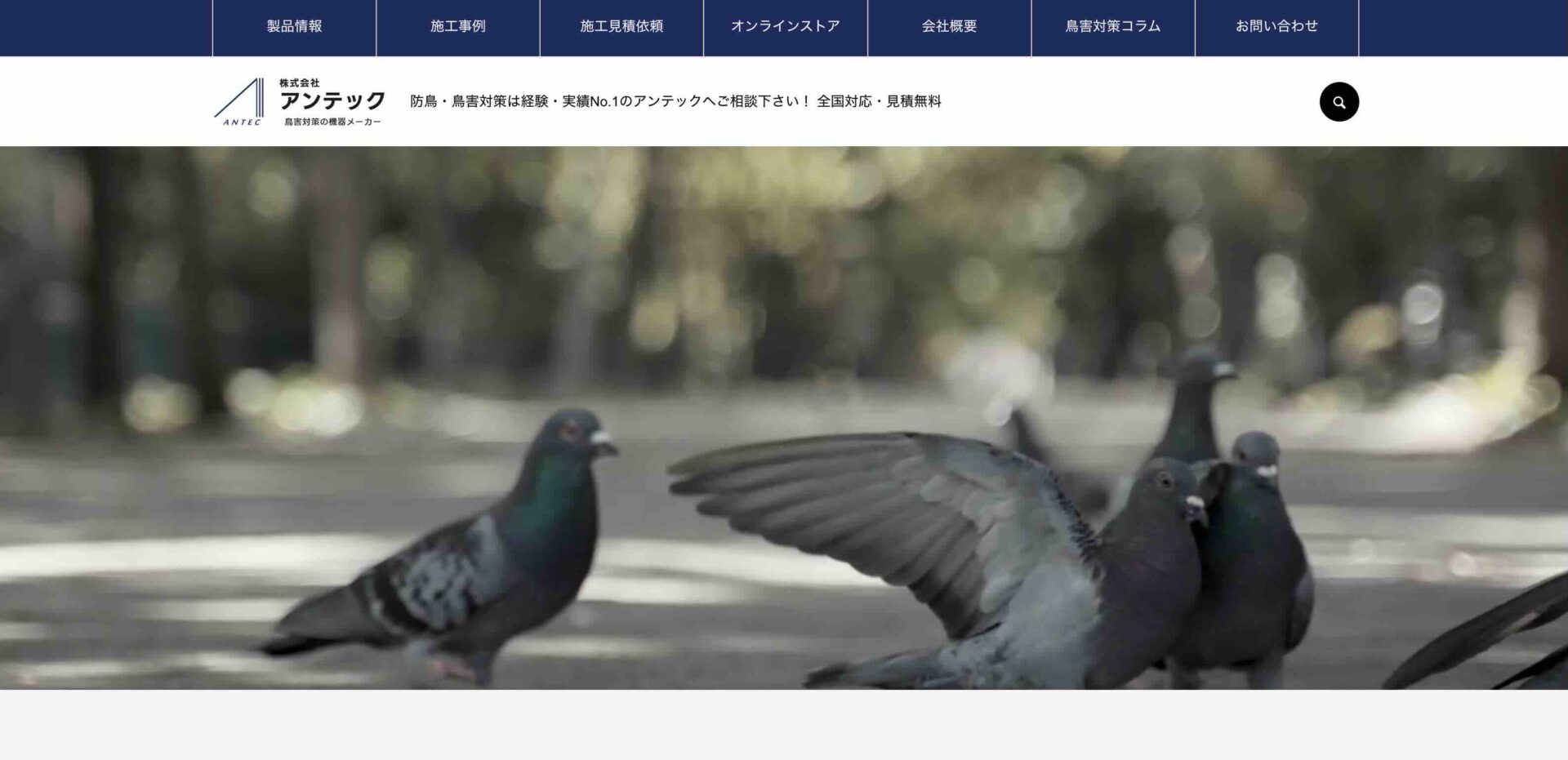 株式会社アンテックの画像