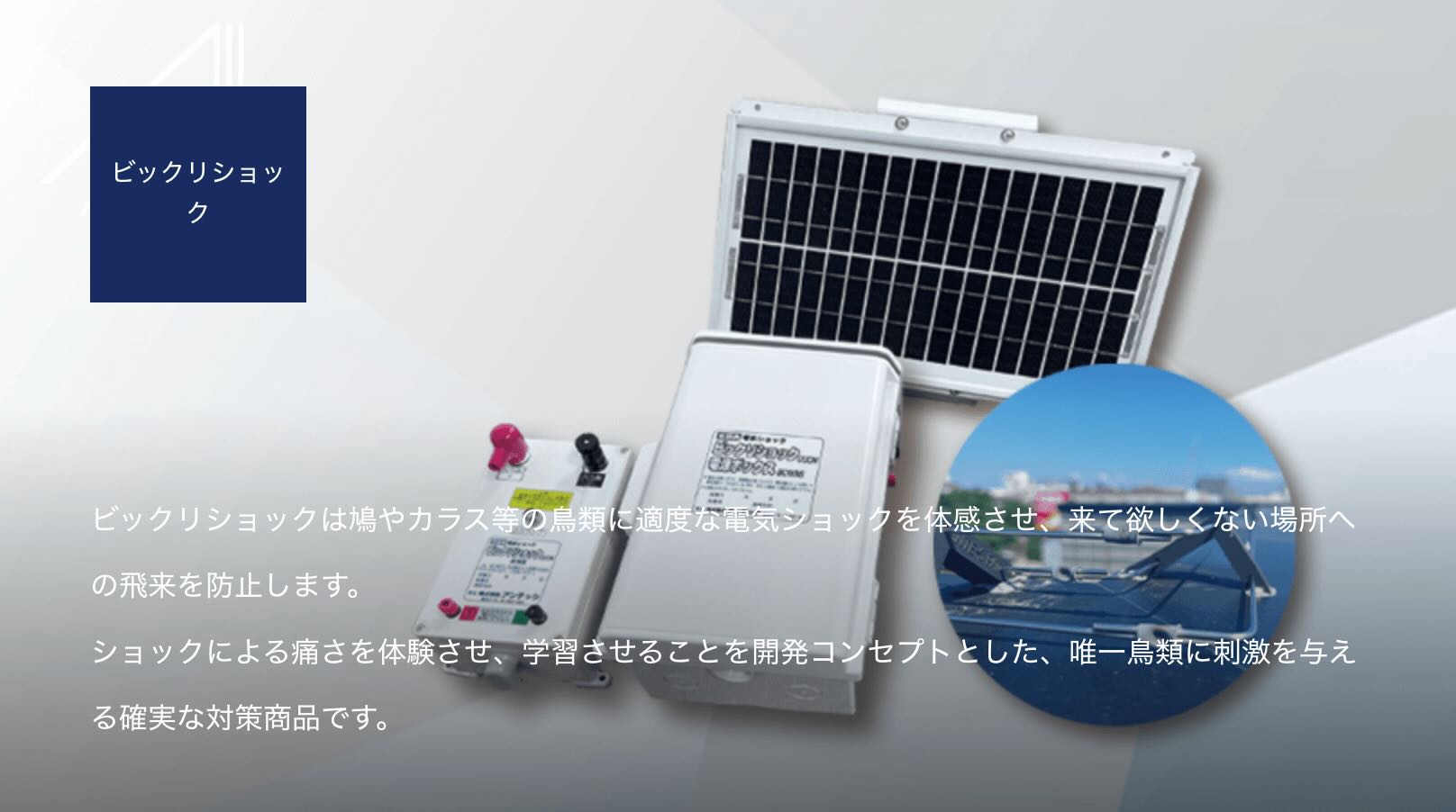 株式会社アンテックの画像2