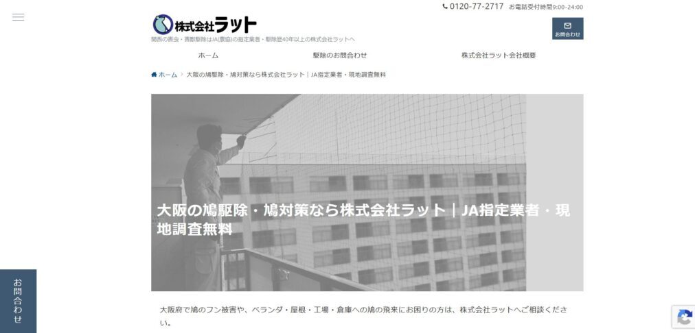 鳩駆除職人