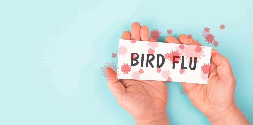 鳥インフルエンザ