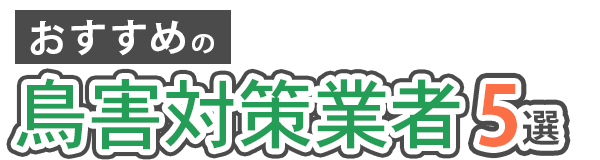 おすすめの鳥害対策業者5選