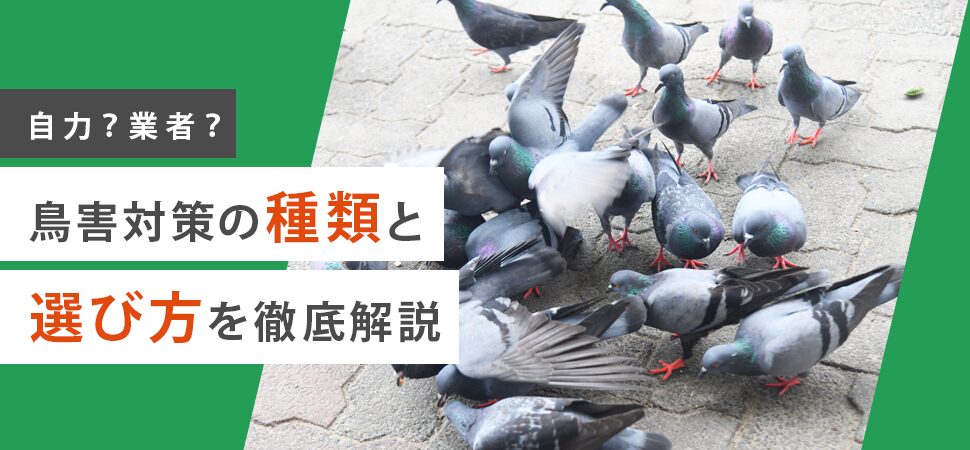 自力？業者？鳥害対策の種類と選び方を徹底解説