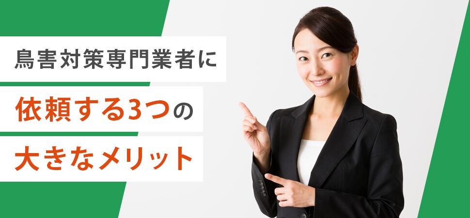 鳥害対策専門業者に依頼する3つの大きなメリット