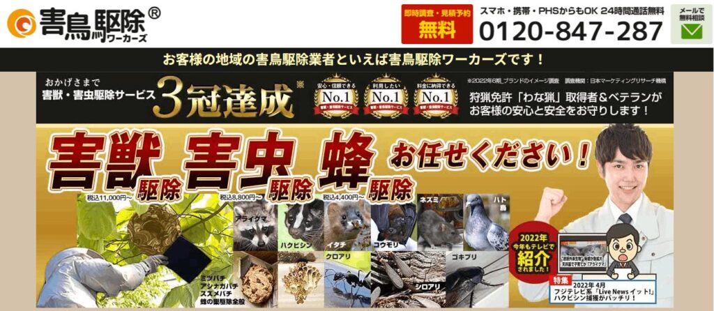 害鳥駆除ワーカーズ(株式会社日本アクティブワーカーズ)の画像